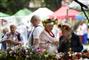 20240611_Dzien_Seniora_Wieckowice 