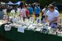20240620_Festyn_Wolbrom 