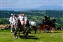 20240811_Zab_Strazackie_Spasy 
