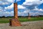20250802_Birkenau 