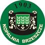 Kopalnia Węgla Kamiennego Brzeszcze logo