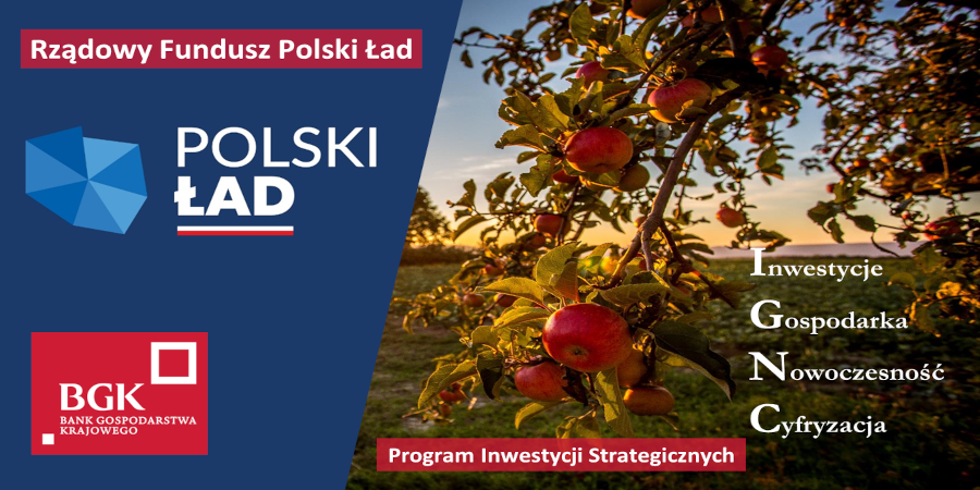 Polski Ład